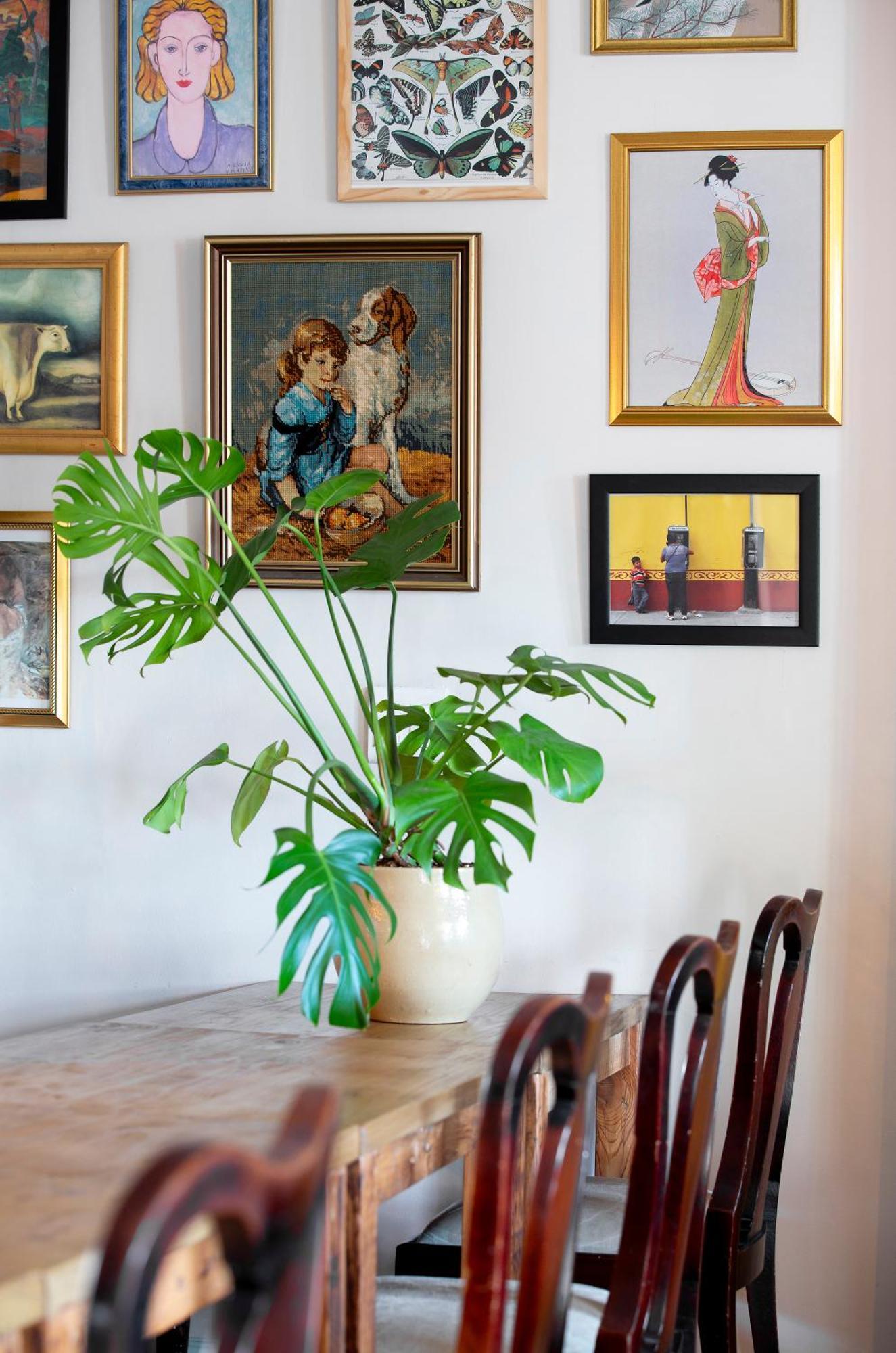 Casa Del Sonder Cape Town